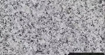 舟山 芙蓉白（芝麻白大花）荔枝面