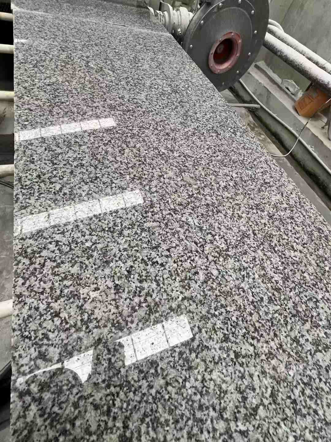 舟山 芙蓉白光面