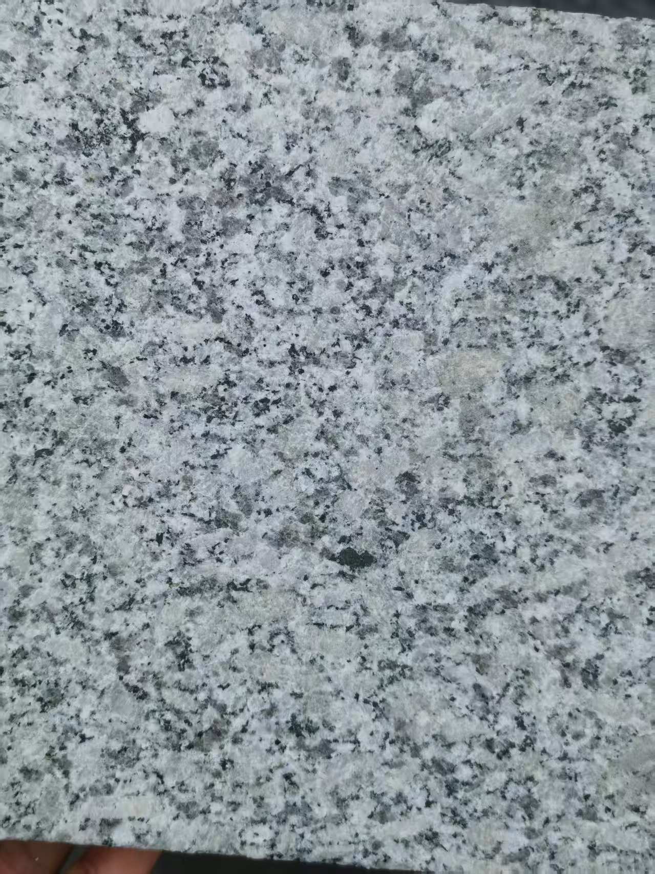 舟山 芙蓉白火烧面