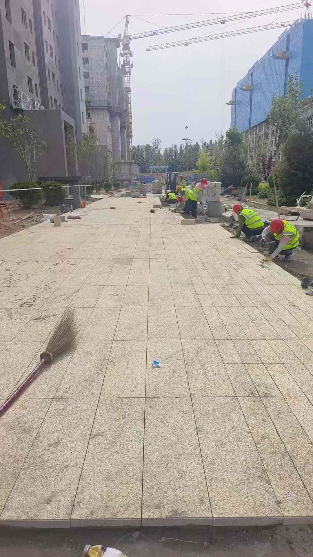 舟山黄金麻荔枝面地铺案例