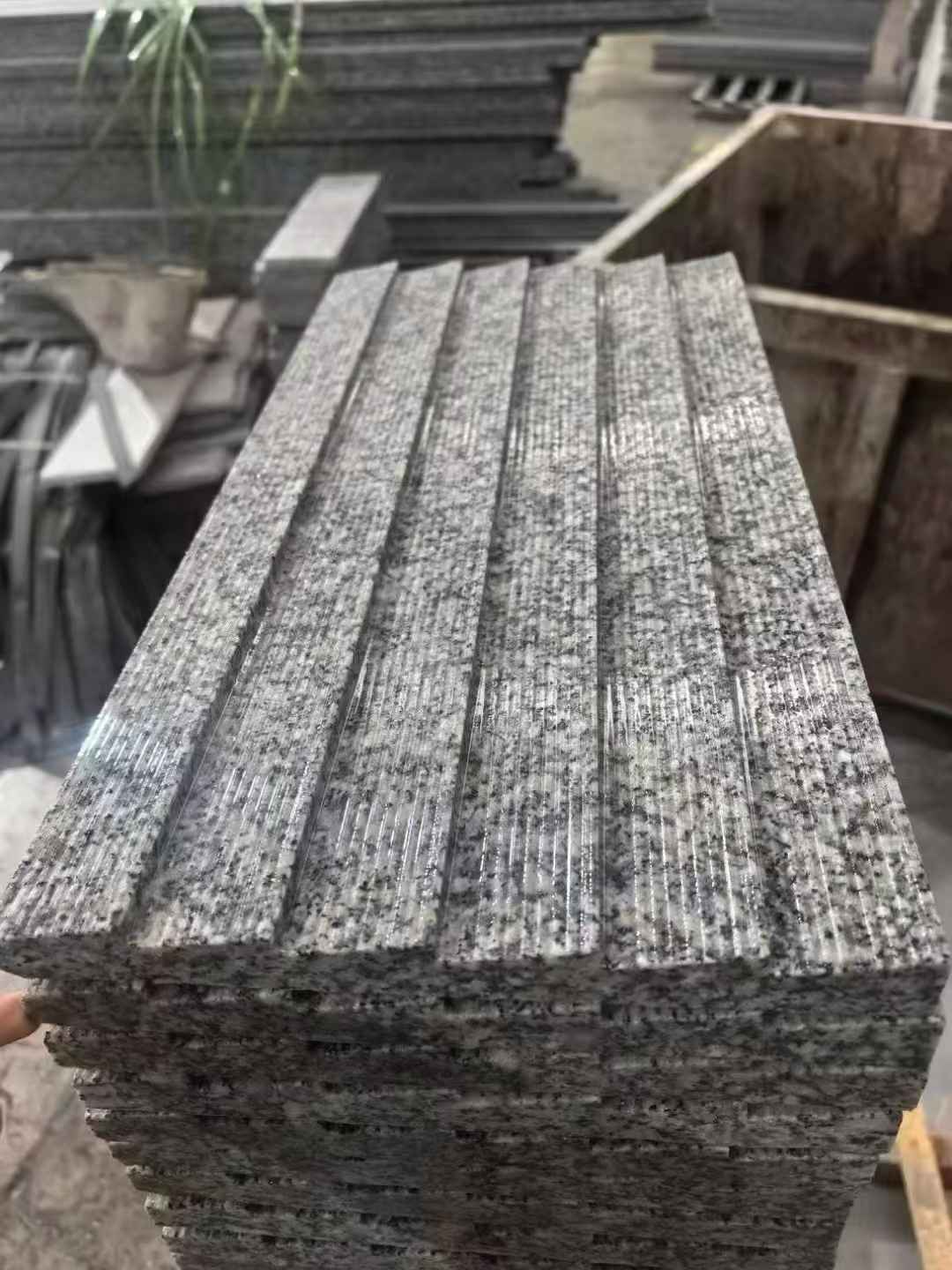 舟山 狼牙石