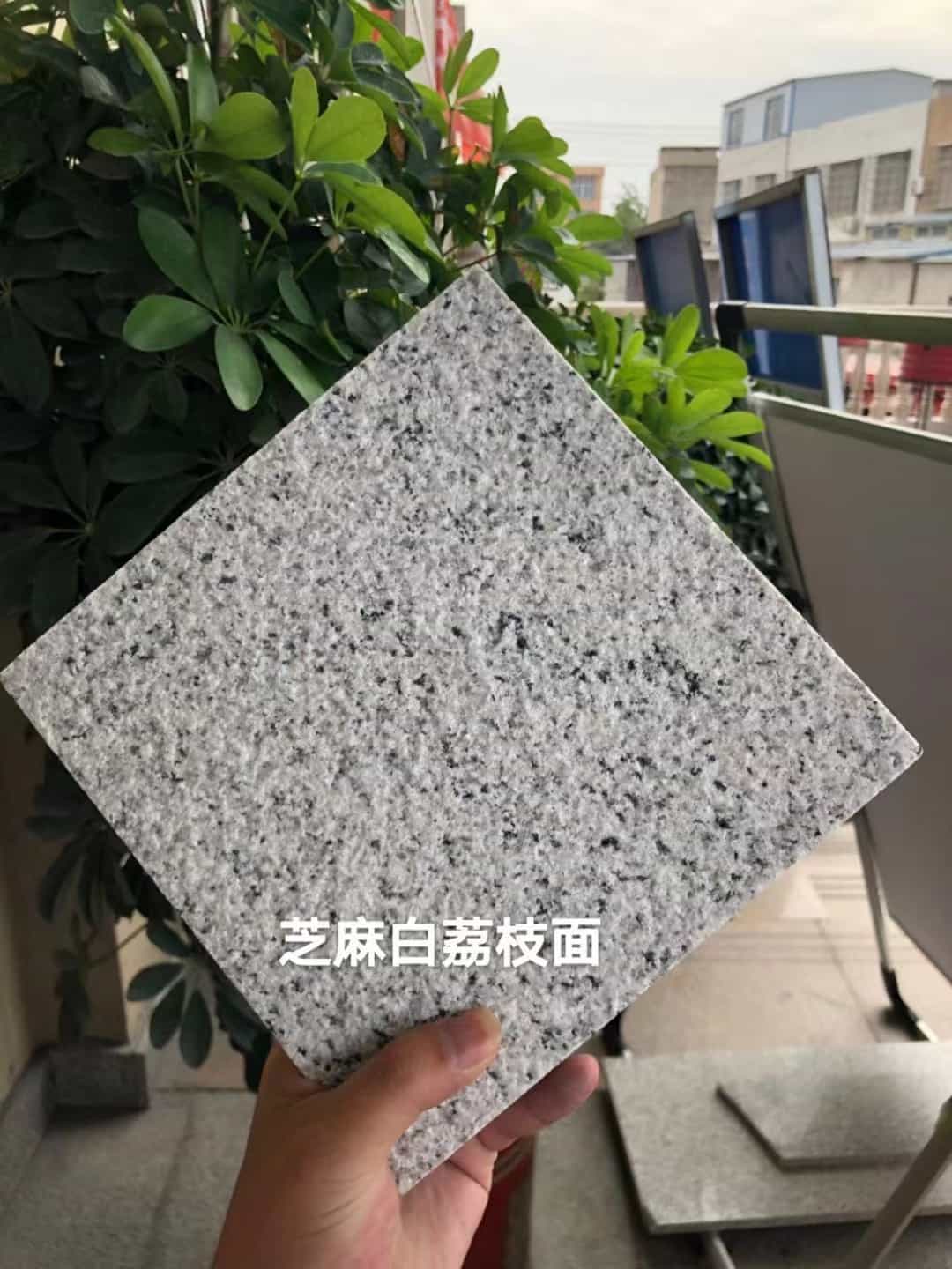 舟山 芝麻白荔枝面干挂